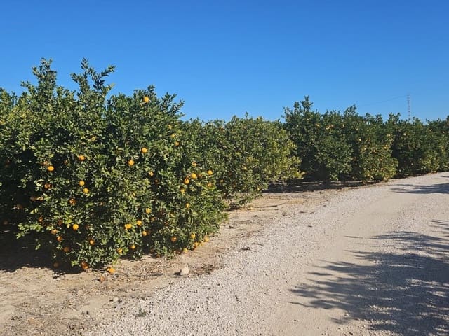 Finca/Hus på landet till salu i Albatera - 129 000 € (Ref: 9233472)