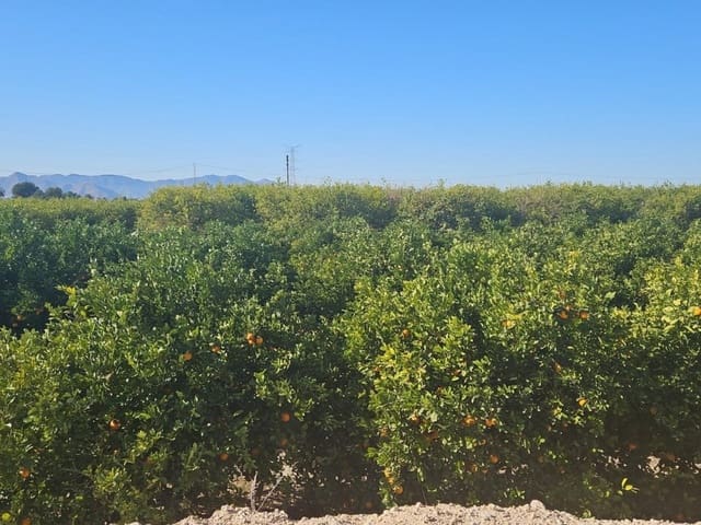 Finca/Hus på landet till salu i Albatera - 129 000 € (Ref: 9233472)