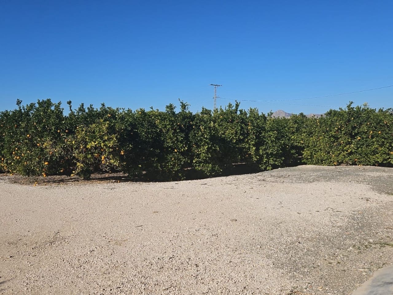 Finca/Hus på landet till salu i Albatera - 129 000 € (Ref: 9233472)