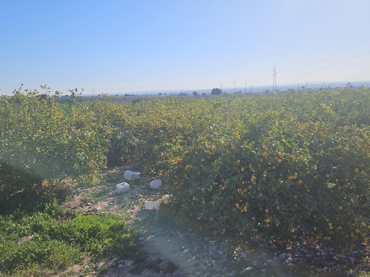 Teren niezagospodarowany na sprzedaż w Albatera - 95 000 € (Ref: 9233487)