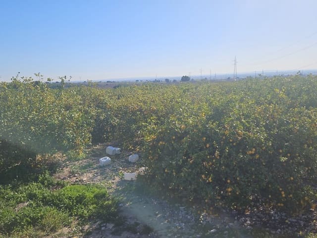 Grunde uden byggetilladelser til salg i Albatera - € 95.000 (Ref: 9233487)