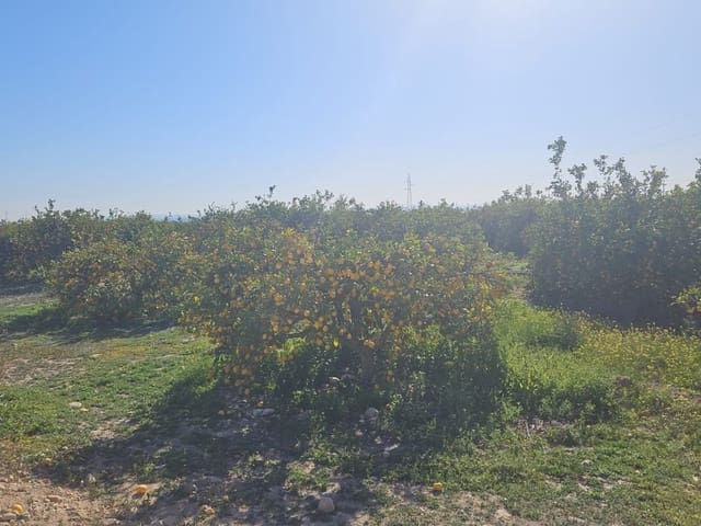 Grunde uden byggetilladelser til salg i Albatera - € 95.000 (Ref: 9233487)