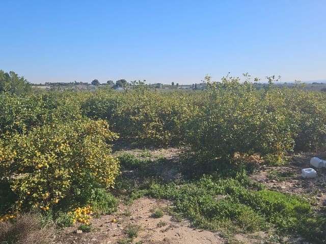 Grunde uden byggetilladelser til salg i Albatera - € 95.000 (Ref: 9233487)