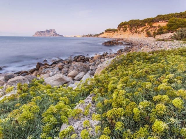 4 Zimmer Villa zu verkaufen in Benissa mit Pool - 3.950.000 € (Ref: 9233496)