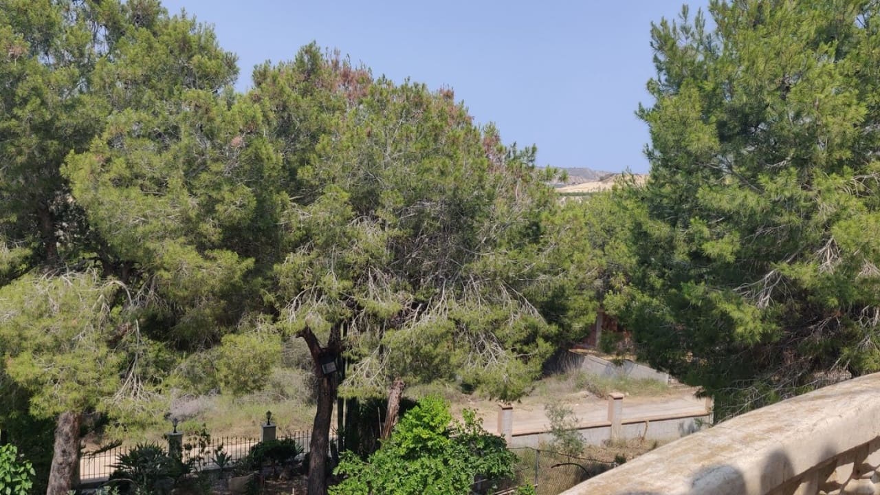 4 soveværelse Finca/Landehus til salg i Canada de San Pedro med swimmingpool - € 450.000 (Ref: 9233542)