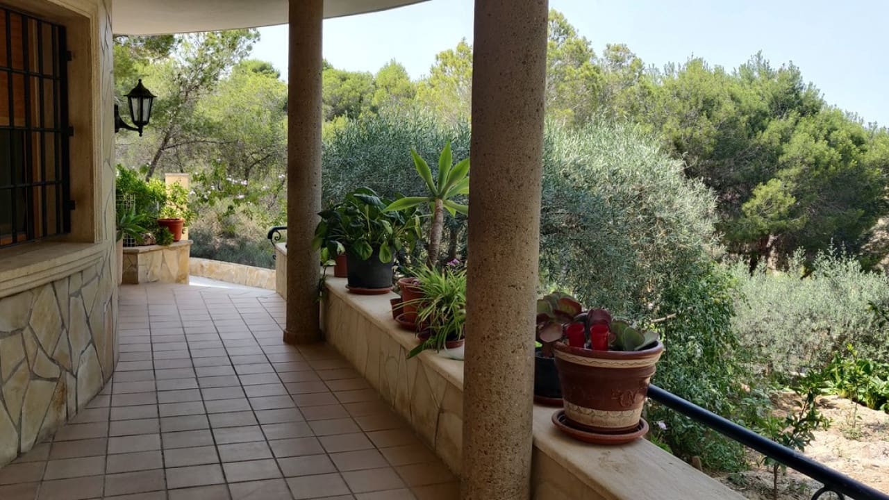 4 soveværelse Finca/Landehus til salg i Canada de San Pedro med swimmingpool - € 450.000 (Ref: 9233542)