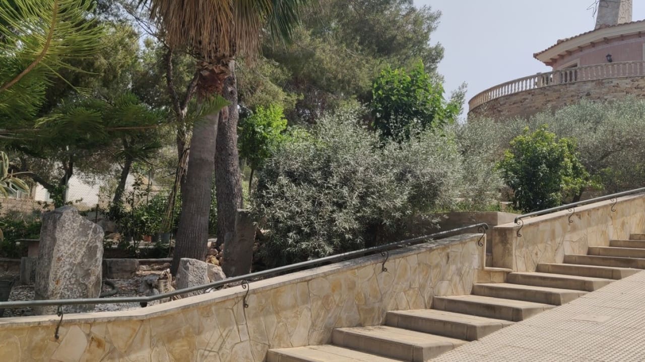 4 soveværelse Finca/Landehus til salg i Canada de San Pedro med swimmingpool - € 450.000 (Ref: 9233542)