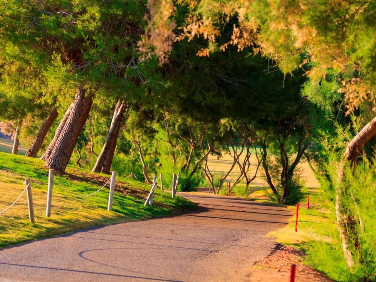 3 bedroom Villa for sale in Pilar de la Horadada with pool - € 499,000 (Ref: 9233561)