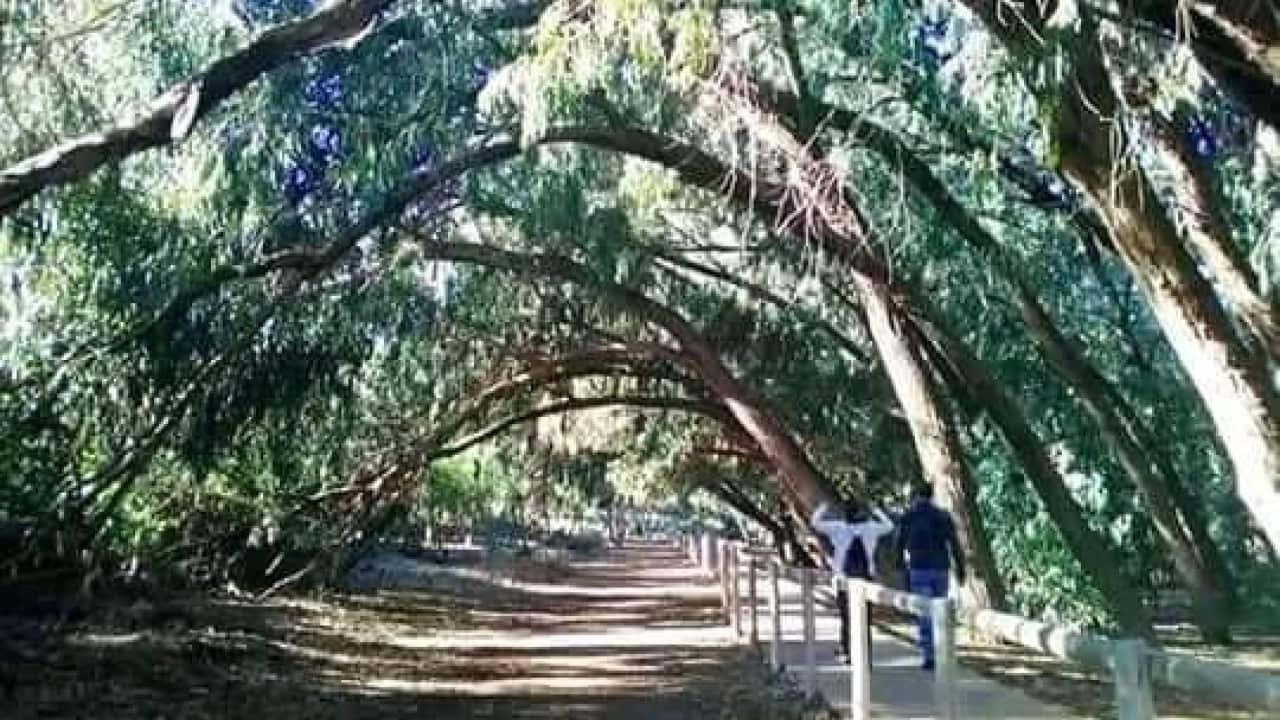 2 bedroom Villa for sale in Torrevieja with pool - € 274,900 (Ref: 9233573)