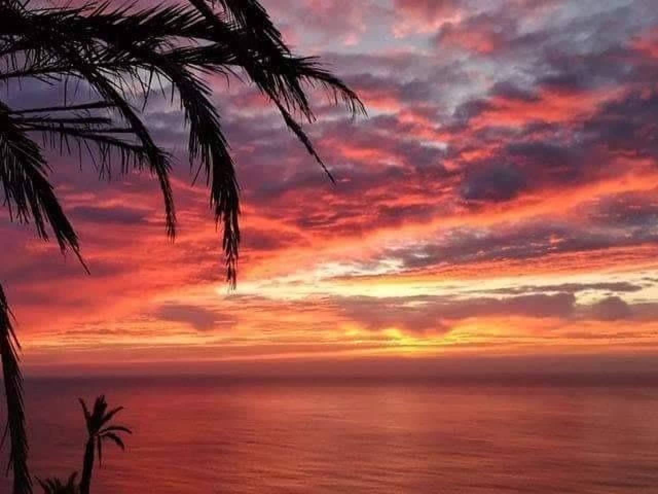 2 bedroom Villa for sale in Torrevieja with pool - € 274,900 (Ref: 9233573)