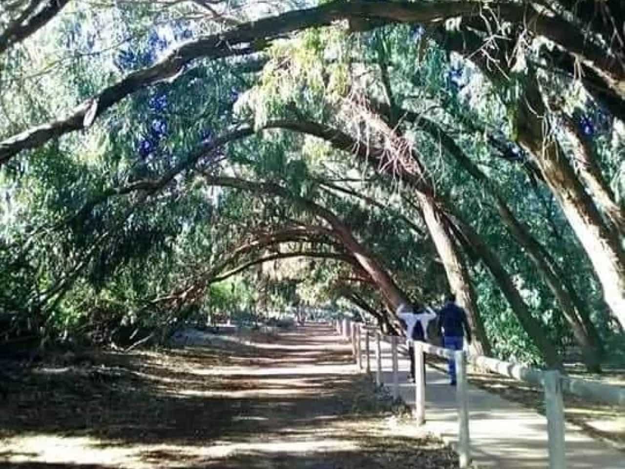 2 bedroom Villa for sale in Torrevieja with pool - € 274,900 (Ref: 9233573)