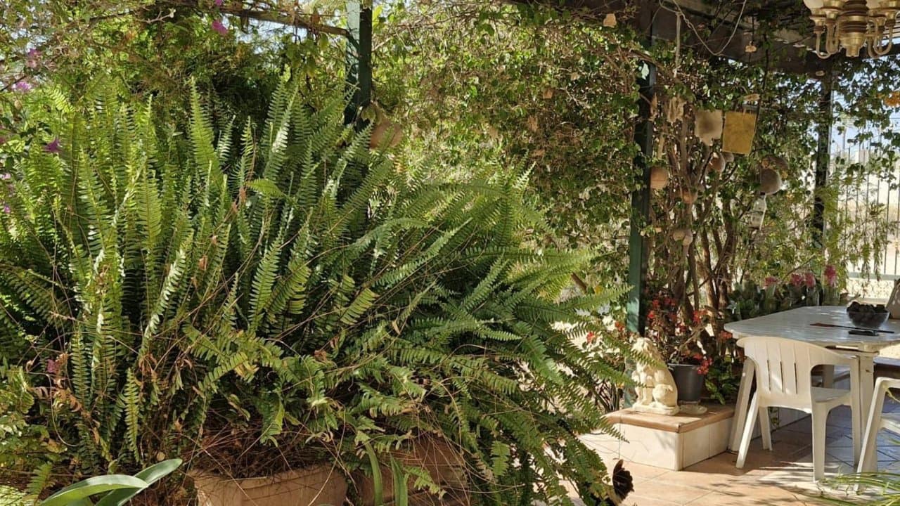 2 sovrum Finca/Hus på landet till salu i Elche / Elx - 395 000 € (Ref: 9233575)