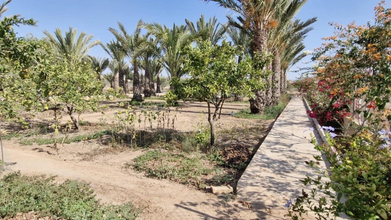 2 sovrum Finca/Hus på landet till salu i Elche / Elx - 395 000 € (Ref: 9233575)