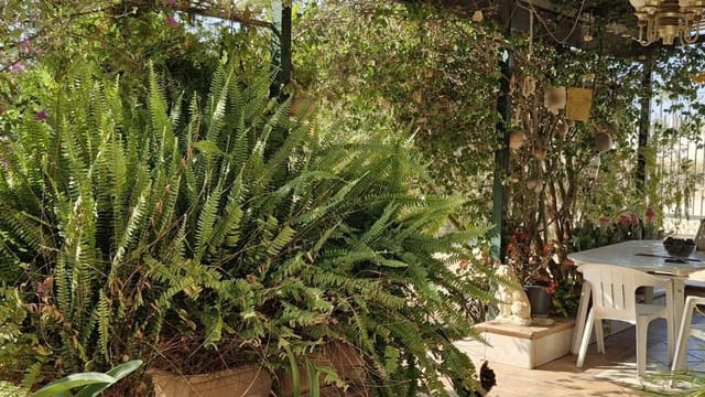 2 sovrum Finca/Hus på landet till salu i Elche / Elx - 395 000 € (Ref: 9233575)