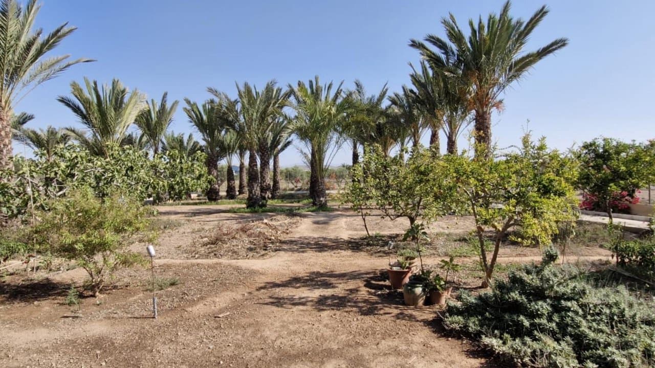 2 sovrum Finca/Hus på landet till salu i Elche / Elx - 395 000 € (Ref: 9233575)