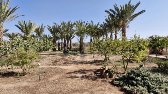 2 sovrum Finca/Hus på landet till salu i Elche / Elx - 395 000 € (Ref: 9233575)