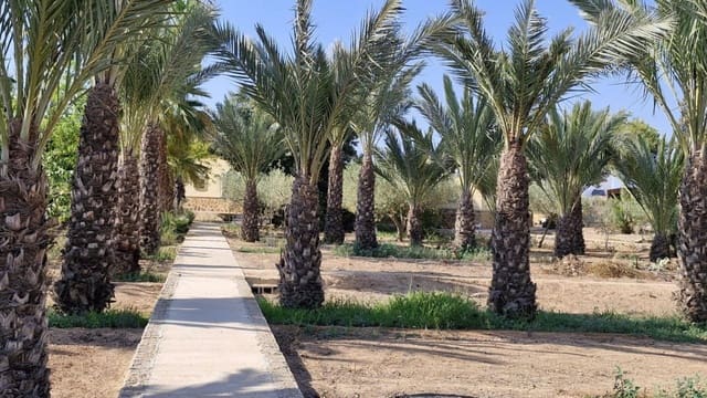 2 sovrum Finca/Hus på landet till salu i Elche / Elx - 395 000 € (Ref: 9233575)