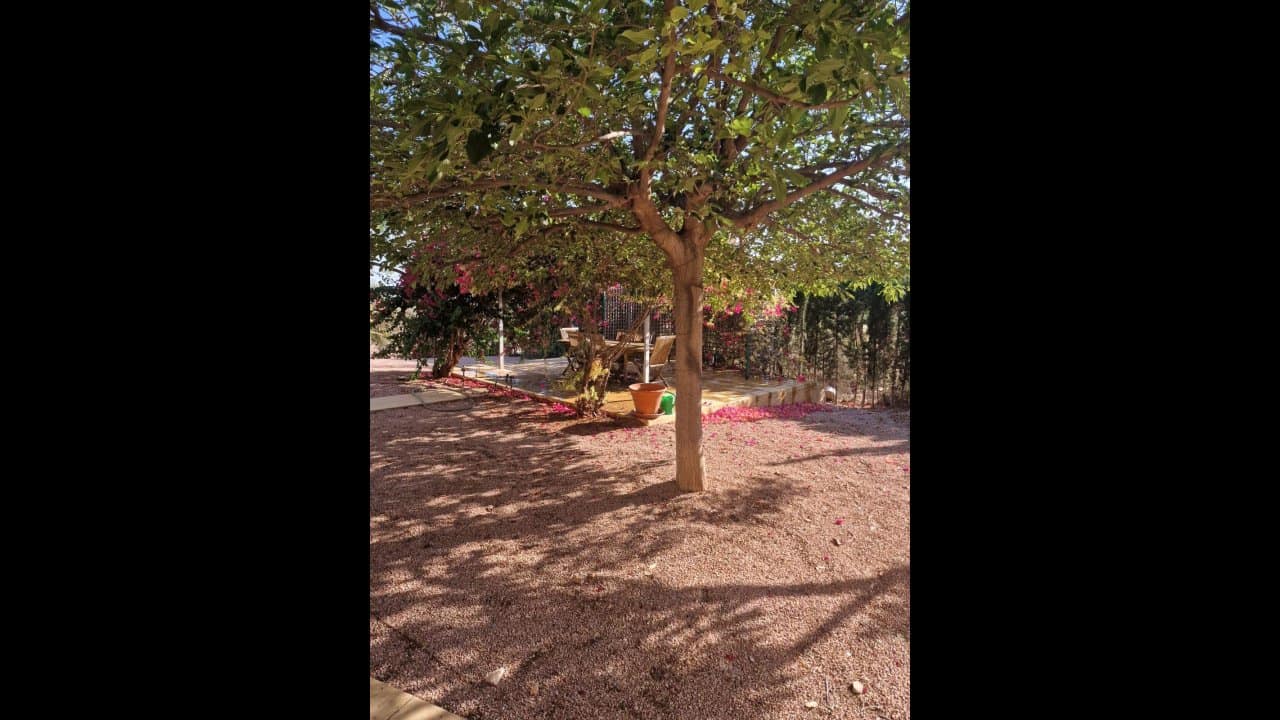 4 camera da letto Finca/Casa di Campagna in vendita in Alicante citta con piscina - 360.000 € (Rif: 9233576)