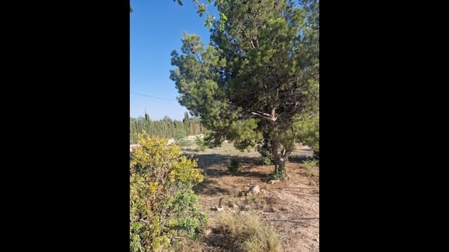 4 bedroom Finca/Country House for sale in Alicante / Alacant city with pool - € 360,000 (Ref: 9233576)