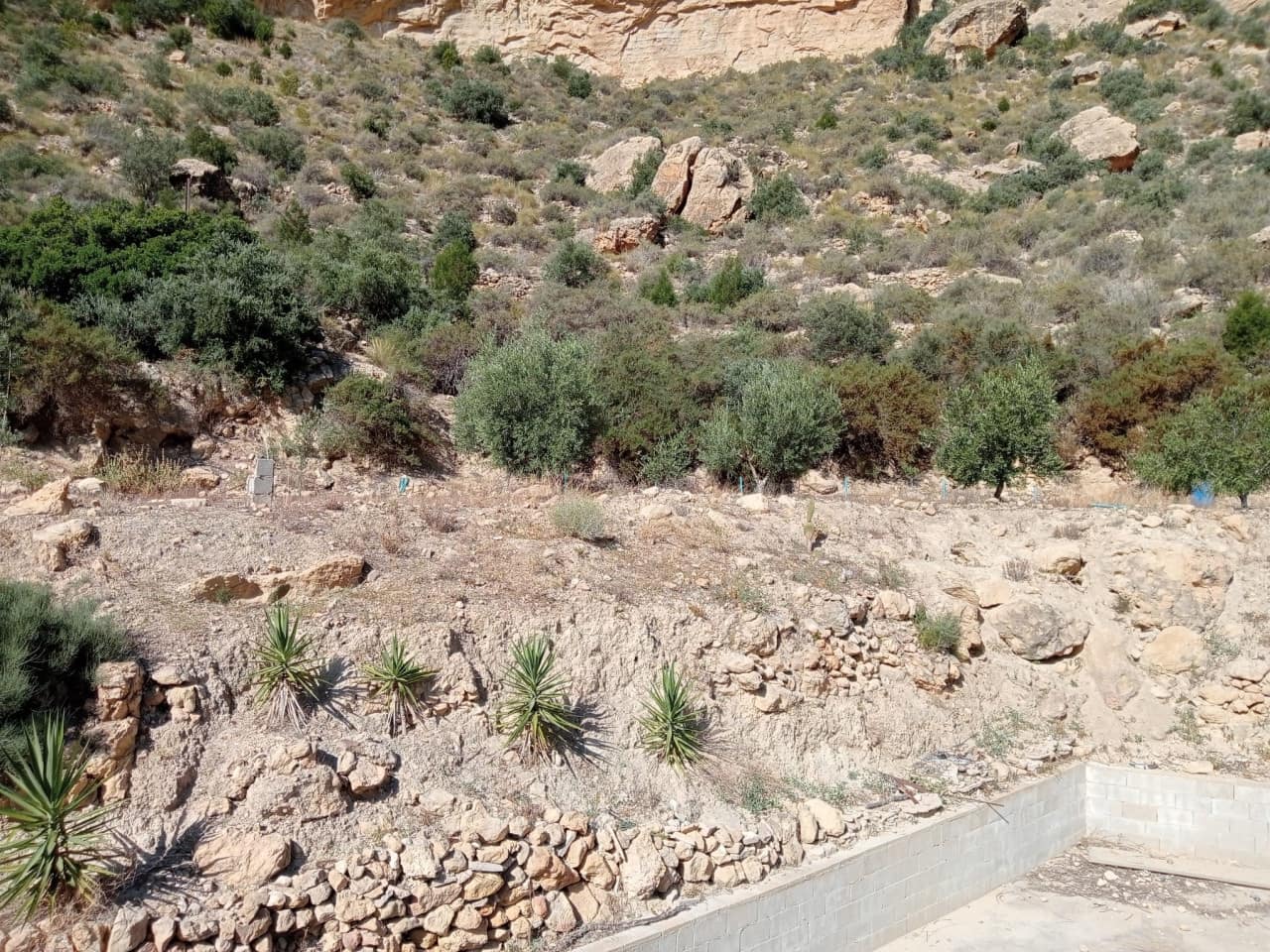 Finca/Casa Rural de 4 habitaciones en Crevillente / Crevillent en venta con piscina - 149.000 € (Ref: 9233579)