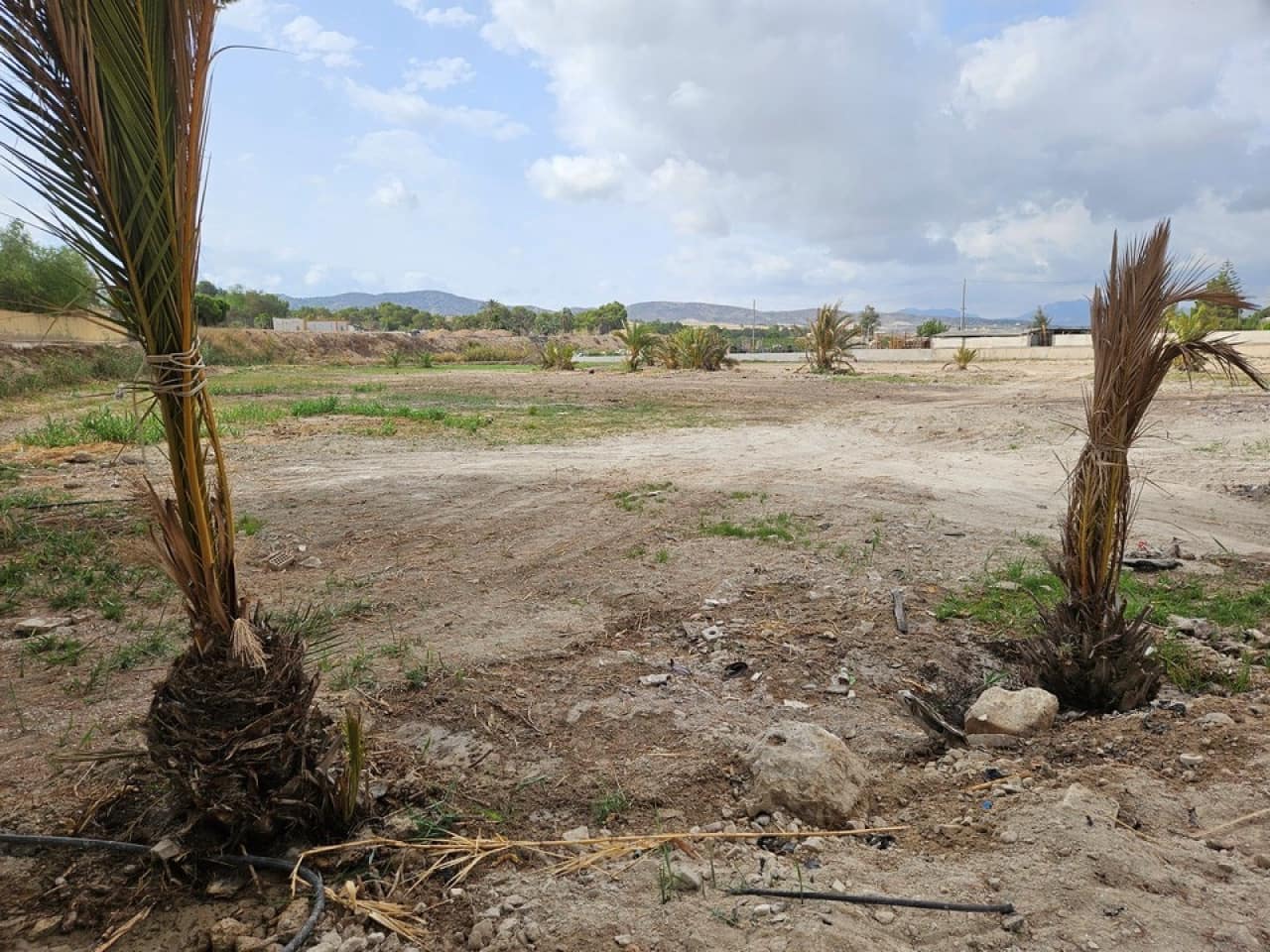 Finca/Casa Rural de 5 habitaciones en Orihuela en venta con piscina - 420.000 € (Ref: 9233580)