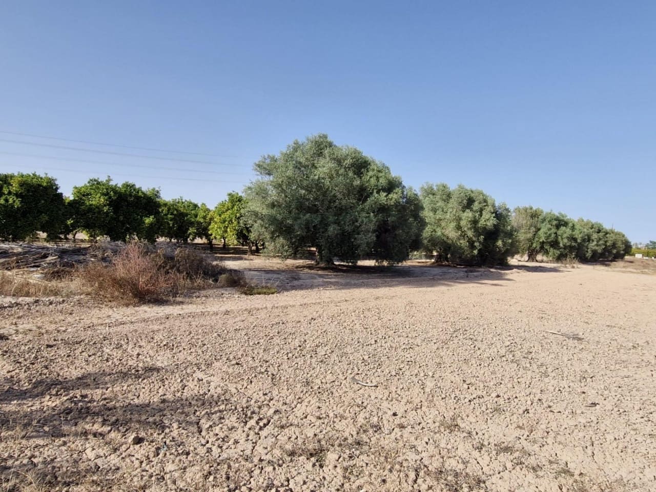 4 soveværelse Finca/Landehus til salg i Elche / Elx med garage - € 285.000 (Ref: 9233595)
