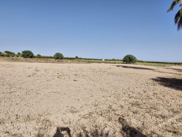 4 soveværelse Finca/Landehus til salg i Elche / Elx med garage - € 285.000 (Ref: 9233595)