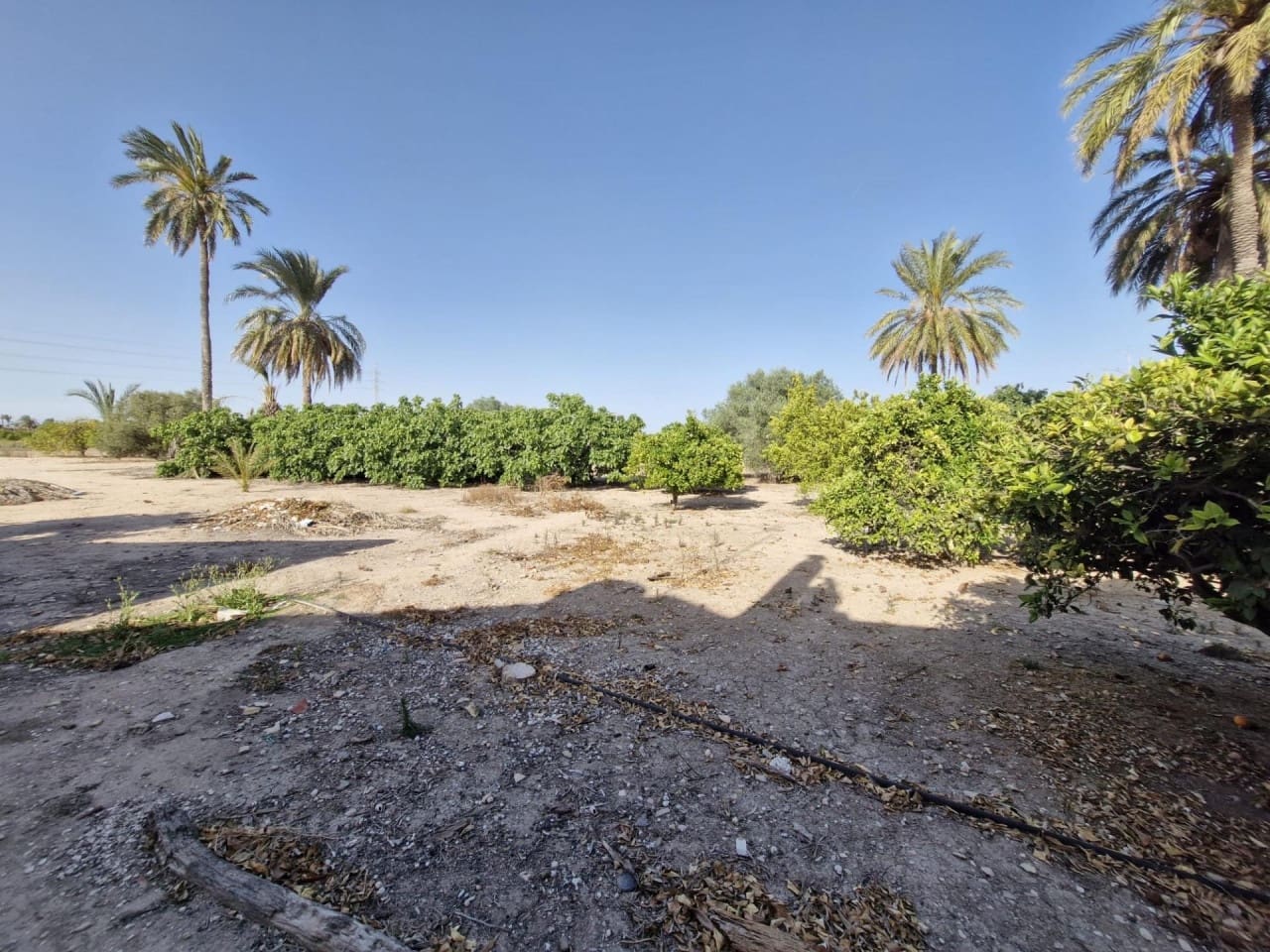 4 soveværelse Finca/Landehus til salg i Elche / Elx med garage - € 285.000 (Ref: 9233595)