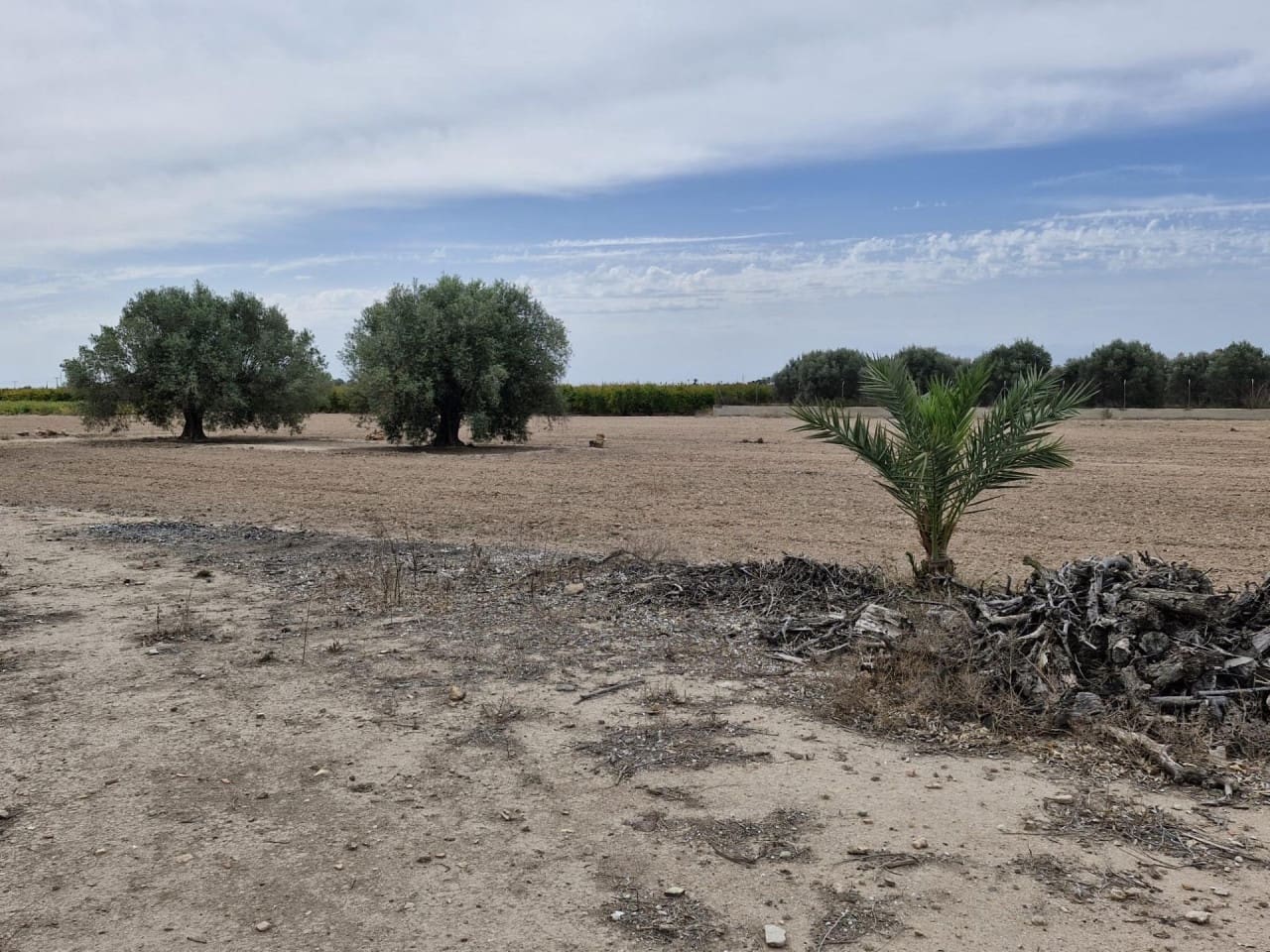 4 soveværelse Finca/Landehus til salg i Elche / Elx med garage - € 285.000 (Ref: 9233595)