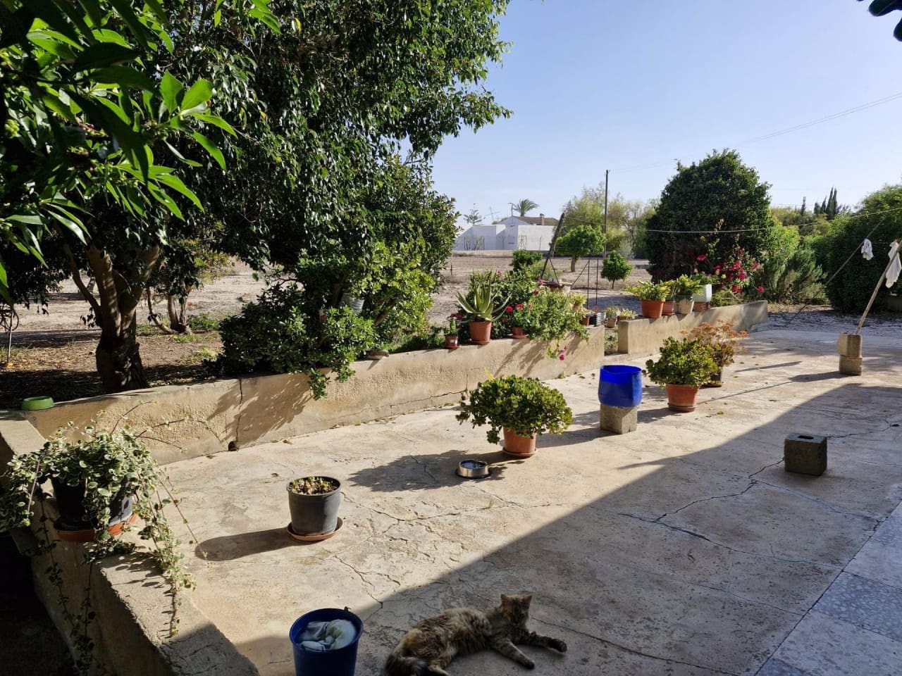 4 soveværelse Finca/Landehus til salg i Elche / Elx med garage - € 285.000 (Ref: 9233595)