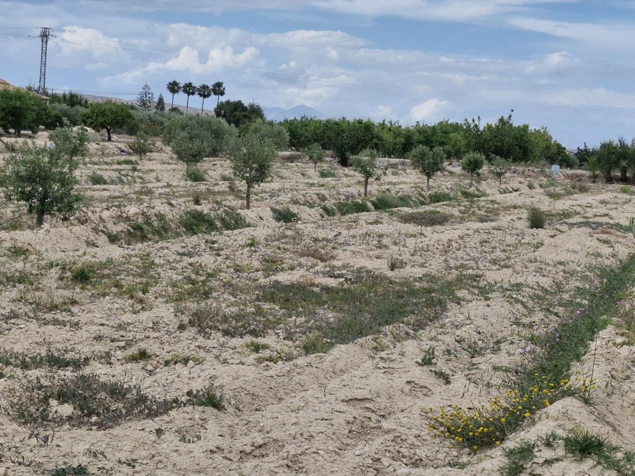 4 soveværelse Finca/Landehus til salg i Elche / Elx med garage - € 285.000 (Ref: 9233595)