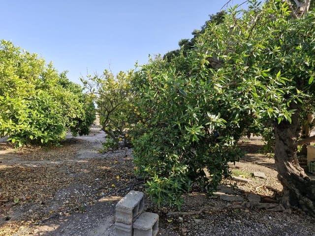 4 soveværelse Finca/Landehus til salg i Elche / Elx med garage - € 285.000 (Ref: 9233595)