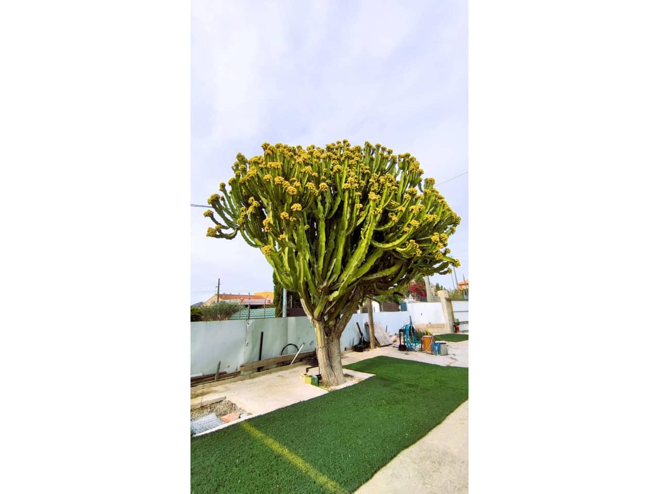 3 bedroom Finca/Country House for sale in Alicante / Alacant city - € 259,900 (Ref: 9233597)