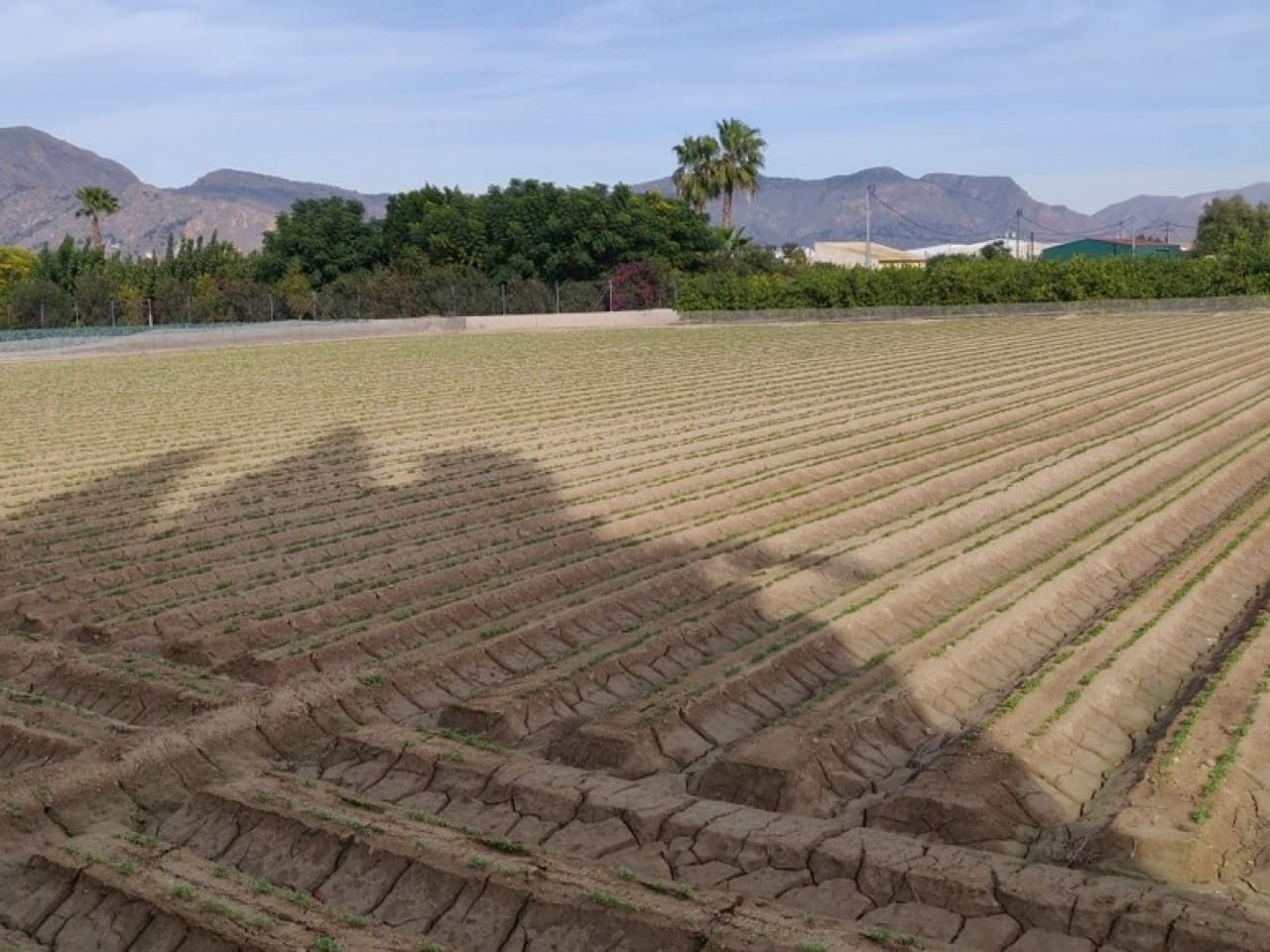 4 soveværelse Finca/Landehus til salg i Orihuela med garage - € 230.000 (Ref: 9233598)