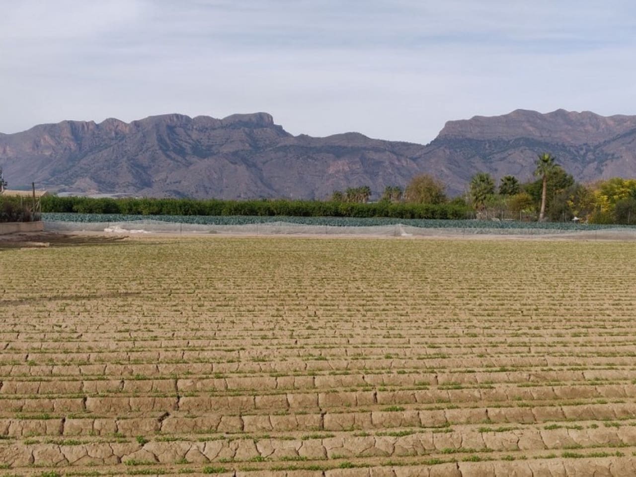 4 soveværelse Finca/Landehus til salg i Orihuela med garage - € 230.000 (Ref: 9233598)