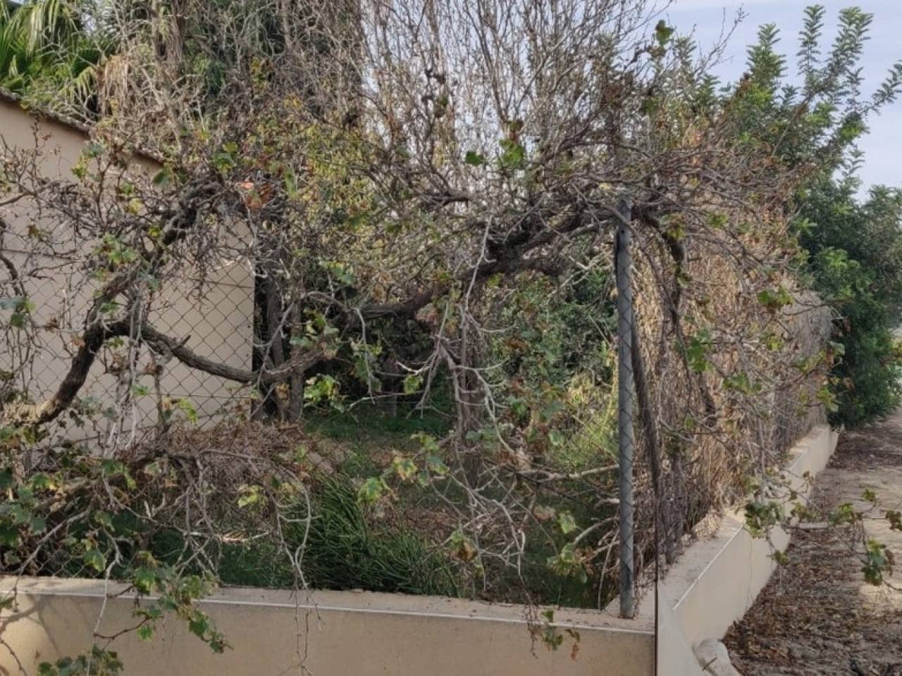 4 soveværelse Finca/Landehus til salg i Orihuela med garage - € 230.000 (Ref: 9233598)