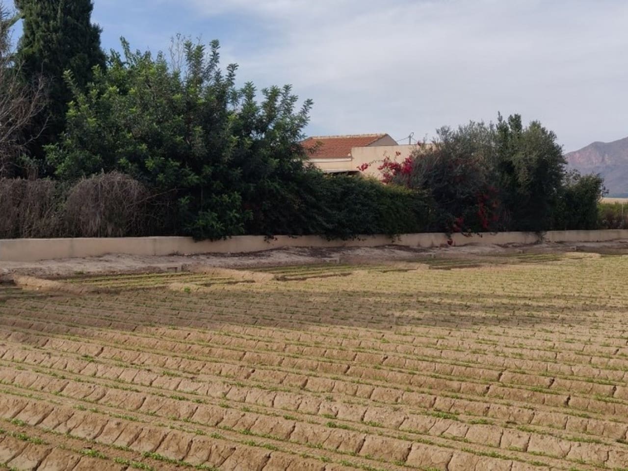 4 soveværelse Finca/Landehus til salg i Orihuela med garage - € 230.000 (Ref: 9233598)