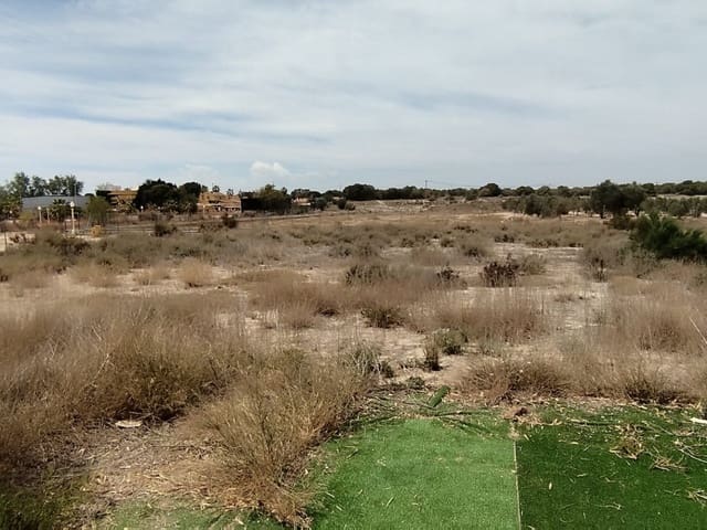 3 sovrum Finca/Hus på landet till salu i Elche / Elx - 299 000 € (Ref: 9233600)