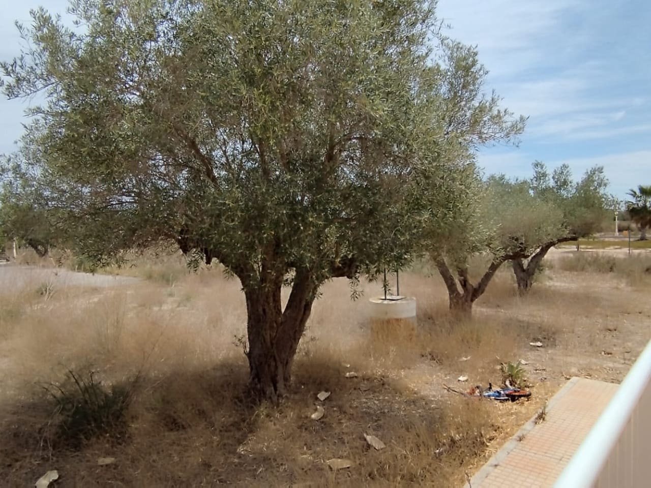 3 camera da letto Finca/Casa di Campagna in vendita in Elche / Elx - 299.000 € (Rif: 9233600)