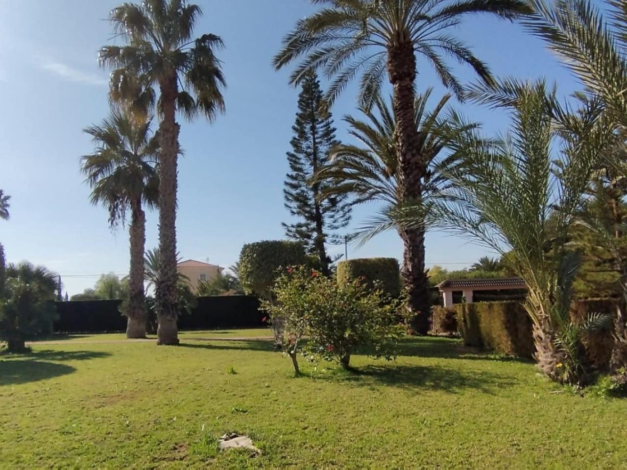 6 slaapkamer Finca/Landhuis te koop in Elche / Elx met zwembad - € 950.000 (Ref: 9233610)