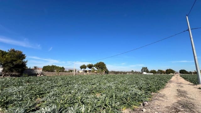 4 bedroom Finca/Country House for sale in Dolores with pool - € 379,000 (Ref: 9233612)