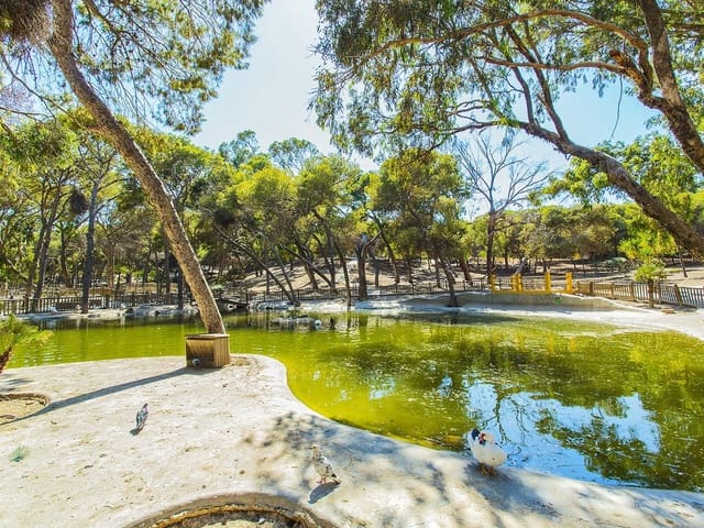 4 quarto Apartamento para venda em Zona Pueblo, Guardamar del Segura - 182 500 € (Ref: 9233615)