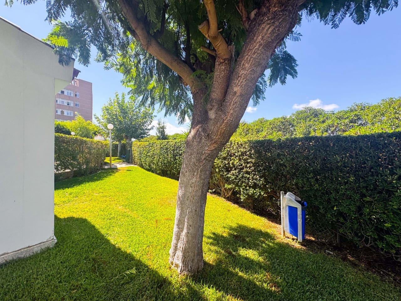 1 sypialnia Apartament na sprzedaż w La Mata z basenem - 158 000 € (Ref: 9254471)