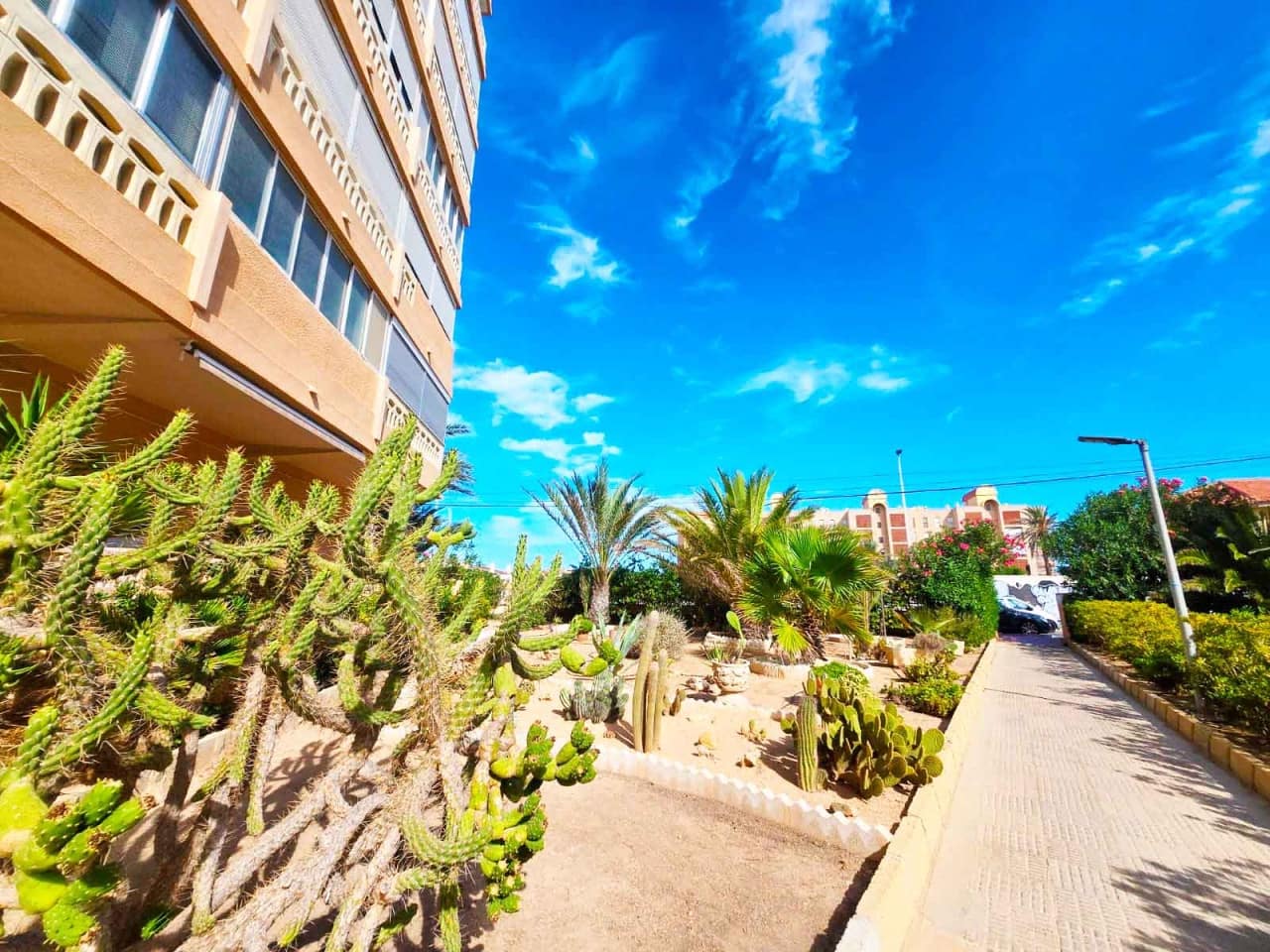 1 soveværelse Lejlighed til salg i La Mata - € 136.000 (Ref: 9268894)