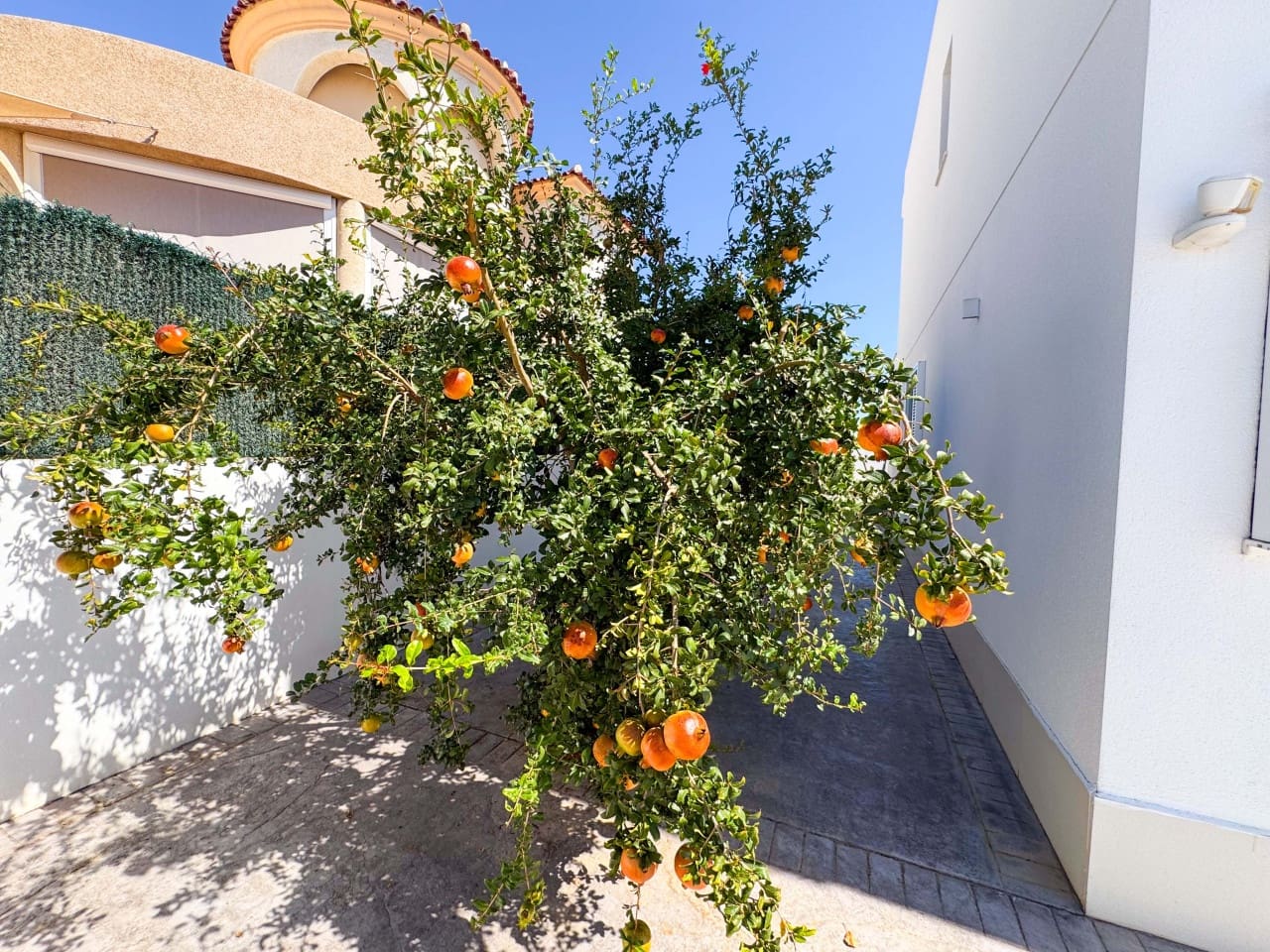 6 Zimmer Villa zu verkaufen in San Fulgencio mit Pool Garage - 699.000 € (Ref: 9279846)