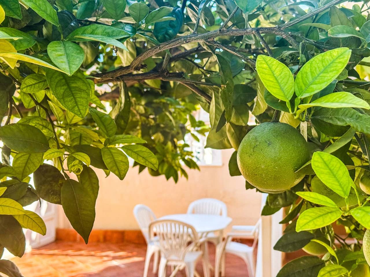 2 bedroom Villa for sale in Torrevieja with pool garage - € 169,900 (Ref: 9288403)