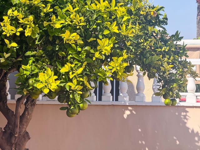 2 soveværelse Villa til salg i Parque de las Naciones, Torrevieja med swimmingpool garage - € 169.900 (Ref: 9288403)