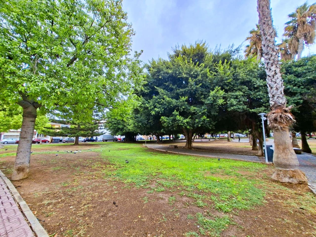 3 slaapkamer Appartement te koop in Torrevieja - € 117.000 (Ref: 9288404)