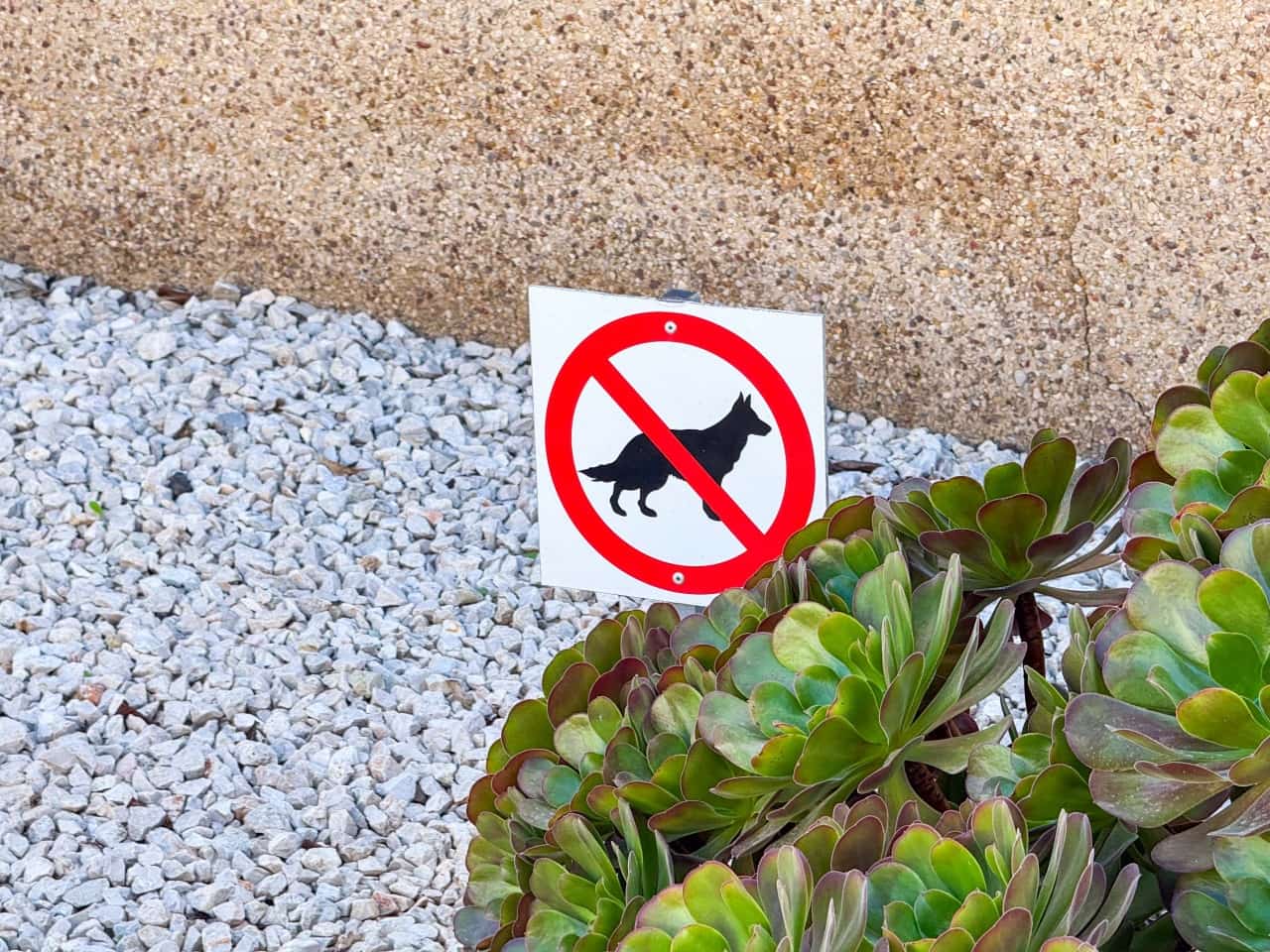 2 sovrum Lägenhet till salu i Orihuela Costa med pool garage - 199 000 € (Ref: 9357862)