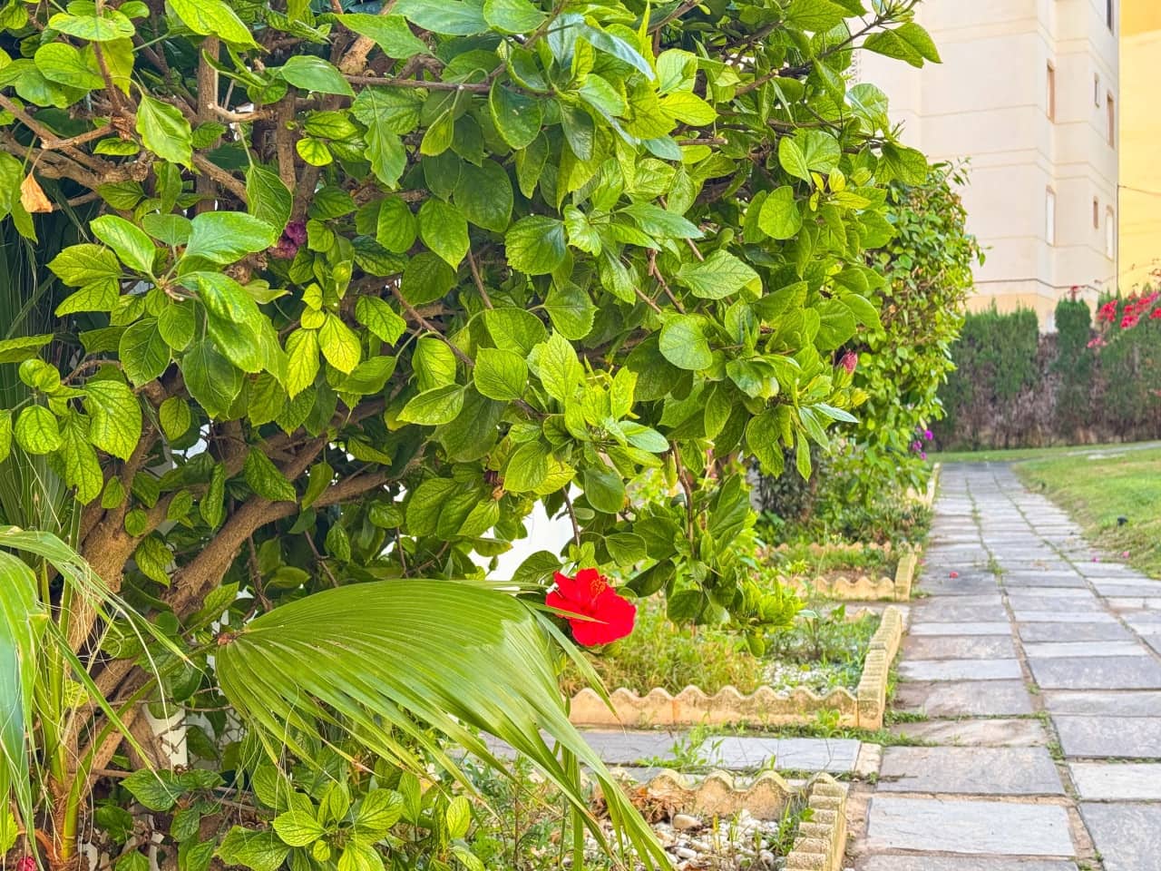 1 slaapkamer Appartement te koop in Torrevieja met zwembad - € 110.000 (Ref: 9386723)